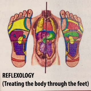 Reflexology Zones